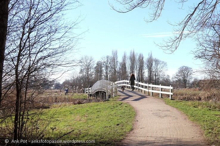 Witte brug over de Wijde Aa. - Foto: Ank Pot