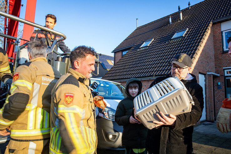 Kater Coco (1) brengt zich opnieuw in de problemen in Zwolle-Zuid, brandweer schiet te hulp - Foto: Hugo Janssen