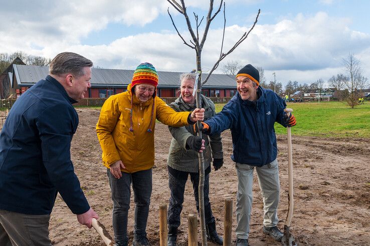 Bewoners van Het Zand planten de eerste fruitboom. - Foto: Peter Denekamp