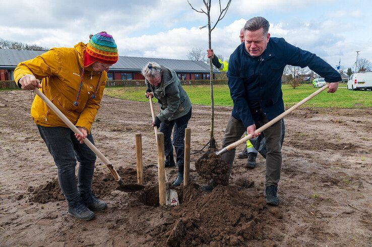 Zorgspectrum Het Zand krijgt fruitboomgaard op Boomfeestdag, buurtbewoners gaan onderhoud doen - Foto: Peter Denekamp