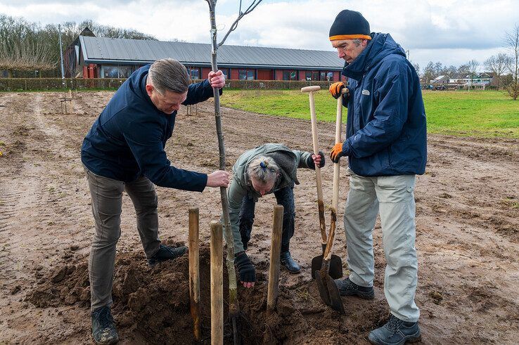 Zorgspectrum Het Zand krijgt fruitboomgaard op Boomfeestdag, buurtbewoners gaan onderhoud doen - Foto: Peter Denekamp