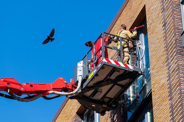 De vogel vliegt weer weg na de redding door de brandweer.