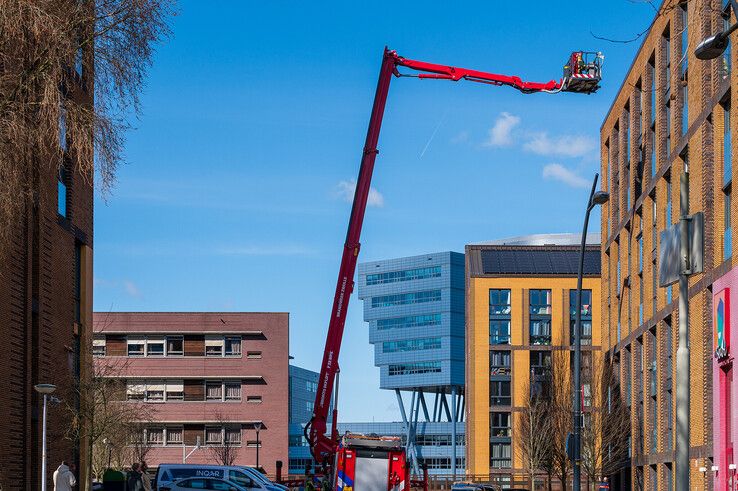 Voor vijfde jaar op rij dierenleed bij studentenflats op Talentenplein