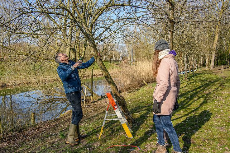 In beeld: Zwolle steekt de handen uit de mouwen tijdens NLdoet