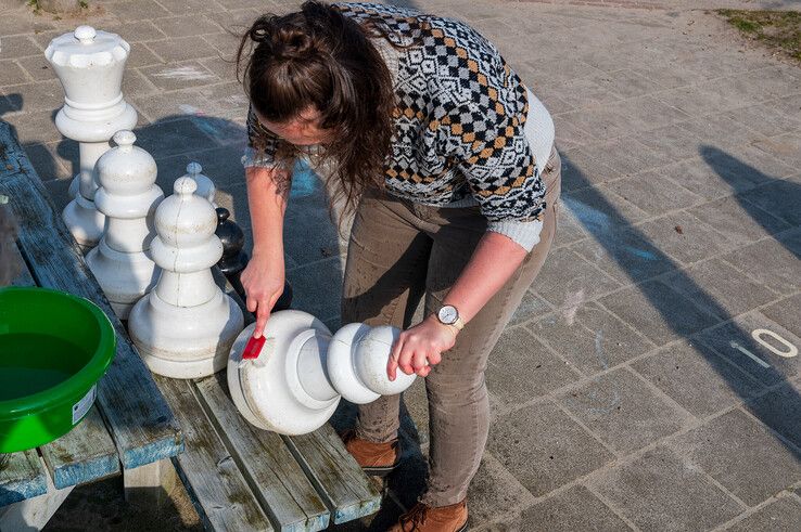 In beeld: Zwolle steekt de handen uit de mouwen tijdens NLdoet