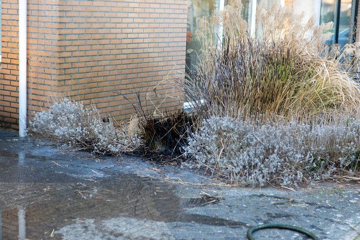 Buren grijpen in als vlammen metershoog oplaaien bij woning in Stadshagen - Foto: Ruben Meinten