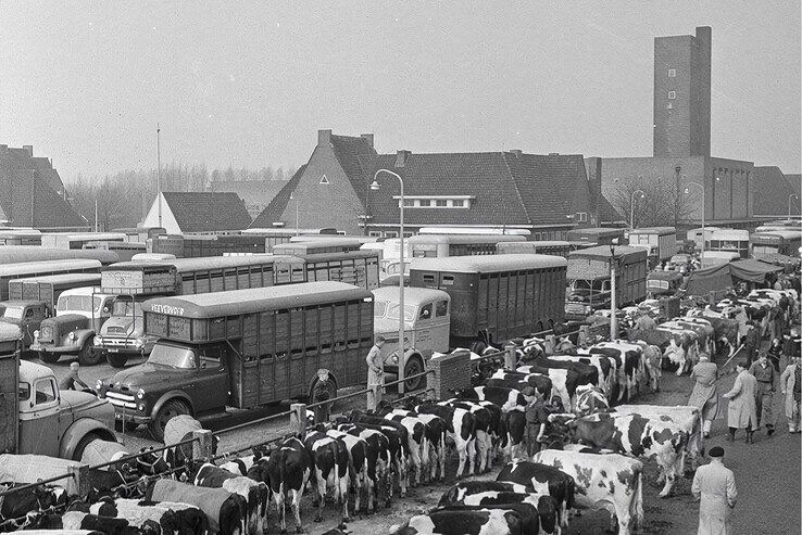 Archieffoto van de Zwolse veemarkt. - Foto: Collectie Overijssel