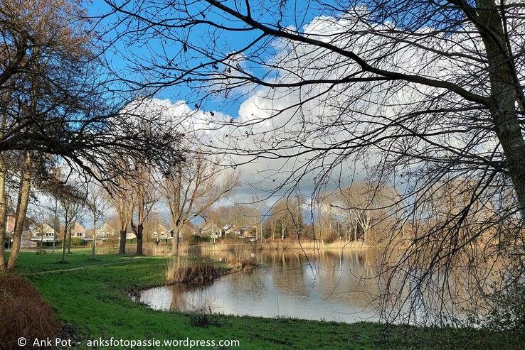 Vijver bij Grevelingen. - Foto: Ank Pot