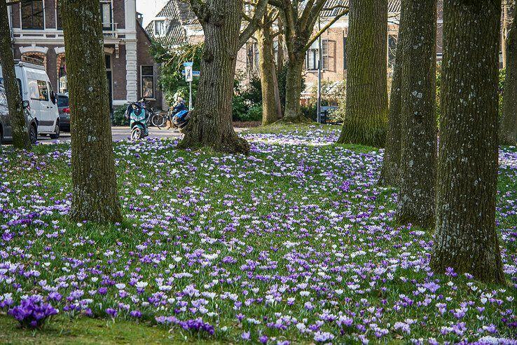 Ter Pelkwijkpark