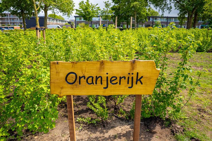 Oranjerijk: nieuw groen speelterrein tussen basisscholen in Kampen