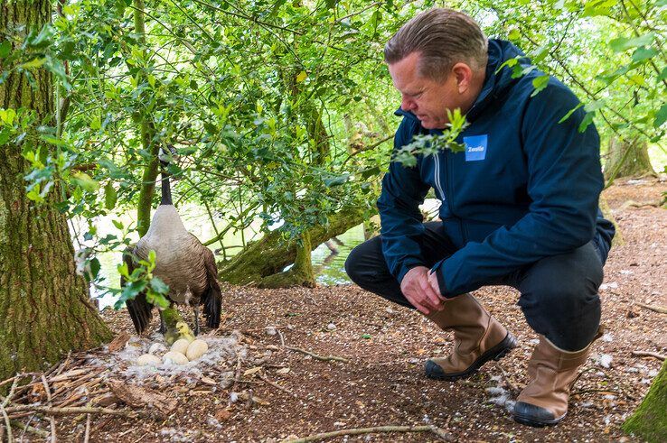 De wethouder bekijkt een nest met kuiken.