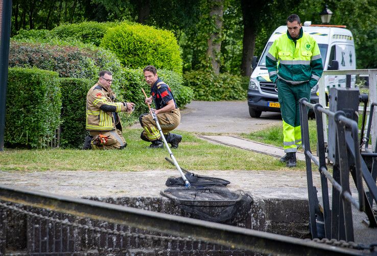 Eend urenlang vast in Katerveersluis, brandweer schiet te hulp