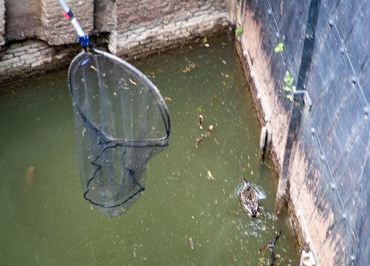 Eend urenlang vast in Katerveersluis, brandweer schiet te hulp