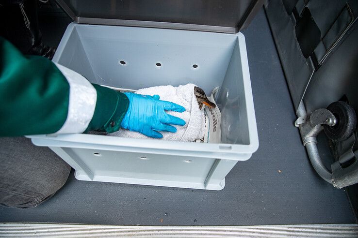 Eend urenlang vast in Katerveersluis, brandweer schiet te hulp