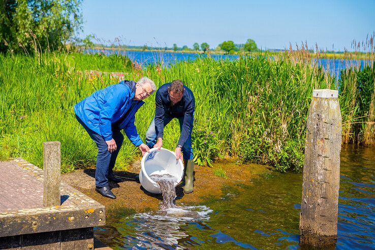 In beeld (video): Rijdend aquarium brengt 56.000 jonge palingen naar IJsseldelta