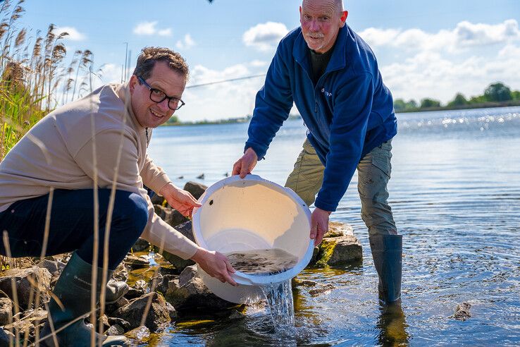 In beeld (video): Rijdend aquarium brengt 56.000 jonge palingen naar IJsseldelta