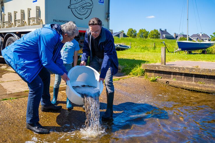 In beeld (video): Rijdend aquarium brengt 56.000 jonge palingen naar IJsseldelta