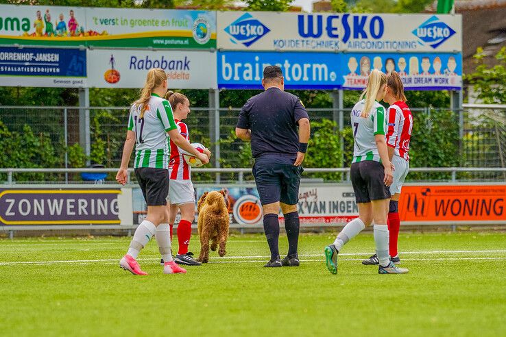 In beeld: Hond zorgt voor afleiding in IJsselmuiden, Genemuiden voor de goals