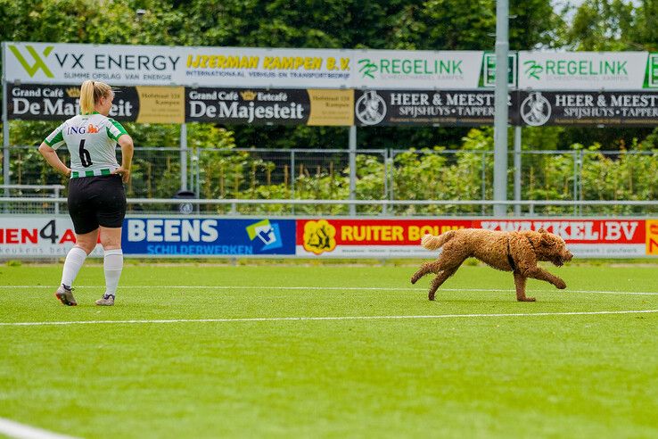 In beeld: Hond zorgt voor afleiding in IJsselmuiden, Genemuiden voor de goals