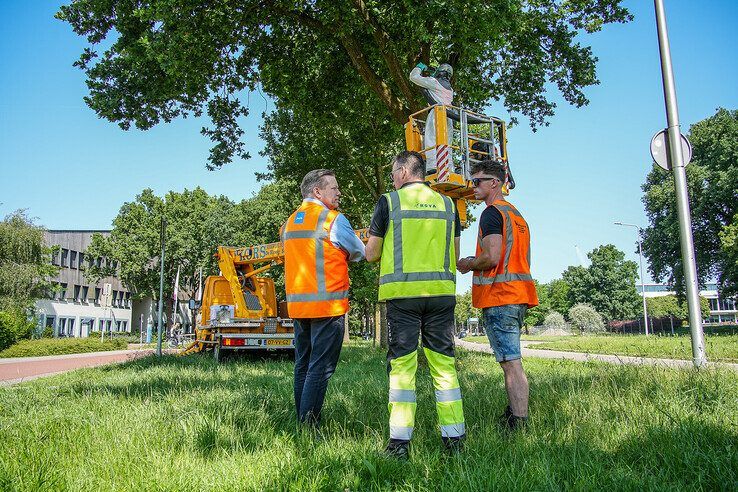 In beeld: Wethouder Spaans opnieuw in de Zwolse frontlijn, ditmaal tegen de eikenprocessierups