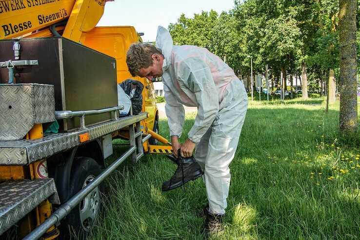 In beeld: Wethouder Spaans opnieuw in de Zwolse frontlijn, ditmaal tegen de eikenprocessierups