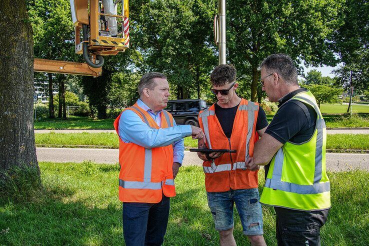 In beeld: Wethouder Spaans opnieuw in de Zwolse frontlijn, ditmaal tegen de eikenprocessierups