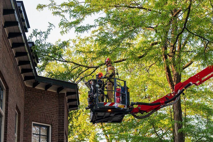 Brandweerlieden verwijderen de gevaarlijk hangende tak aan de Bagijnesingel in Zwolle.