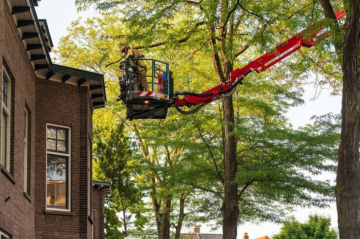 Brandweer verwijdert gevaarlijk hangende tak aan Bagijnesingel in Zwolle
