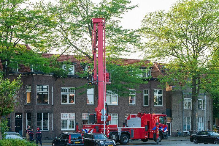 Brandweer verwijdert gevaarlijk hangende tak aan Bagijnesingel in Zwolle