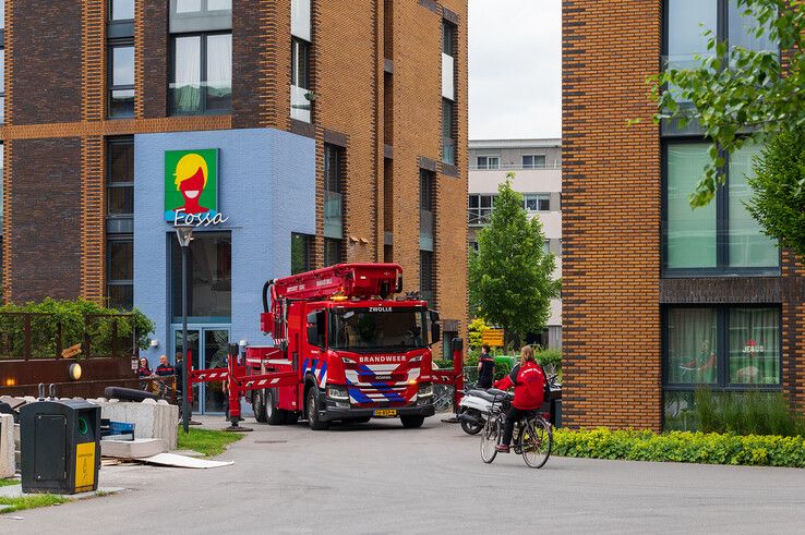 Brandweer redt opnieuw vogel bij studentenflats in Zwolle, jarenlang probleem nog steeds niet opgelost