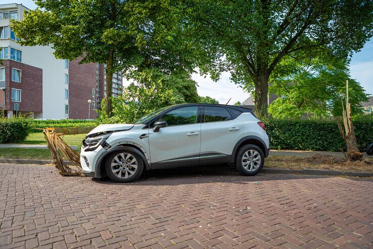 Automobilist ramt boom in Zwolle, auto zwaar beschadigd