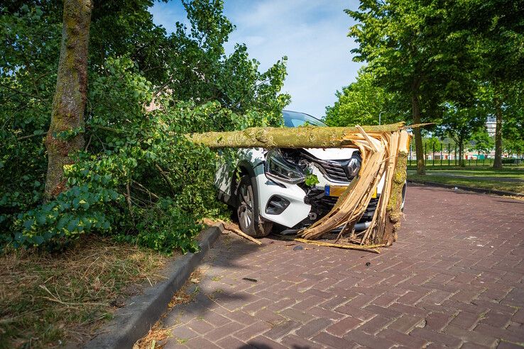 Automobilist ramt boom in Zwolle, auto zwaar beschadigd