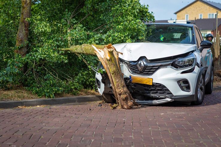De boom brak volledig af door de klap.