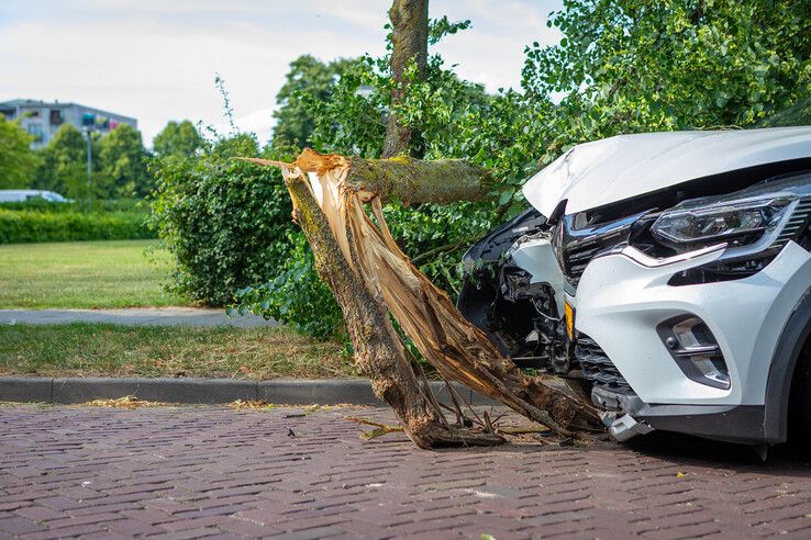 Automobilist ramt boom in Zwolle, auto zwaar beschadigd