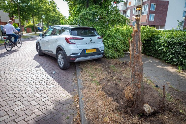 Automobilist ramt boom in Zwolle, auto zwaar beschadigd