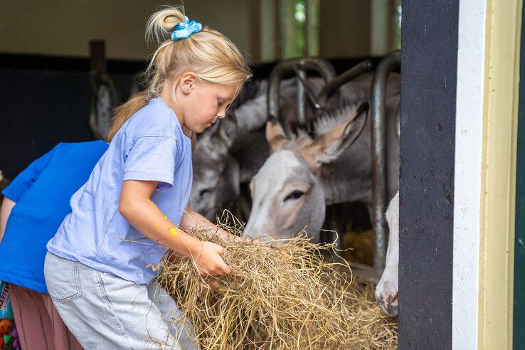 In beeld: Kinderboerderij Cantecleer in Kampen blaast 40 kaarsjes uit tijdens zomerfeest