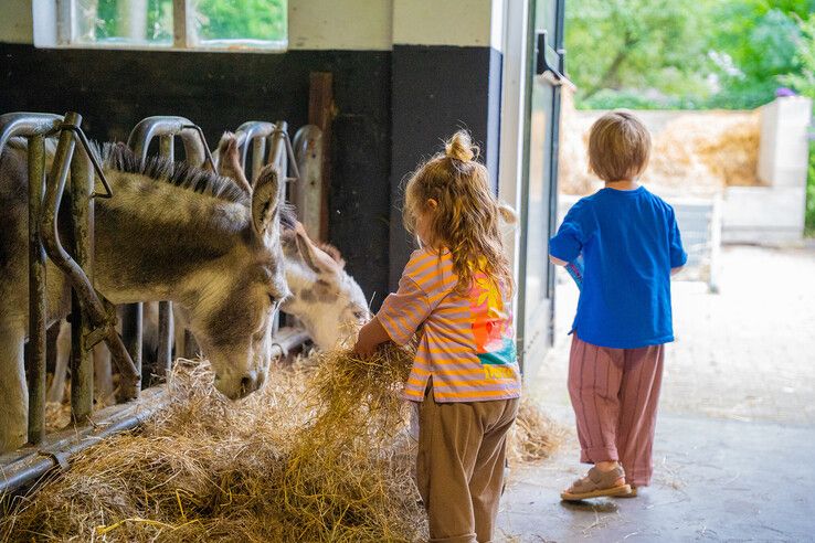 In beeld: Kinderboerderij Cantecleer in Kampen blaast 40 kaarsjes uit tijdens zomerfeest