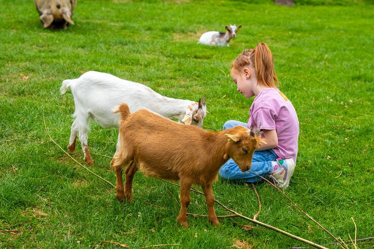 In beeld: Kinderboerderij Cantecleer in Kampen blaast 40 kaarsjes uit tijdens zomerfeest