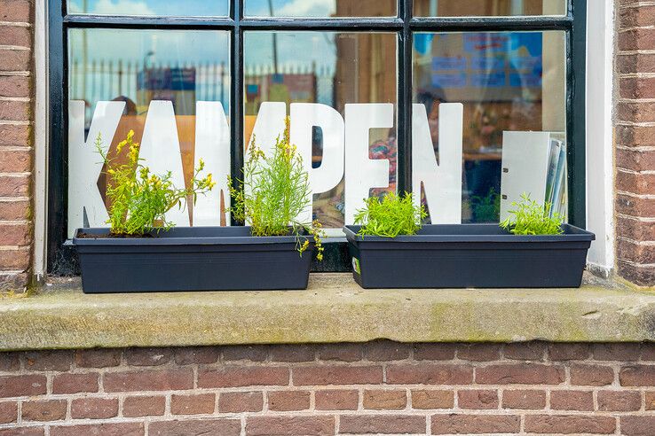 In beeld: Kinderen maken bibliotheekplein Kampen groener met hulp van de Groene Loper