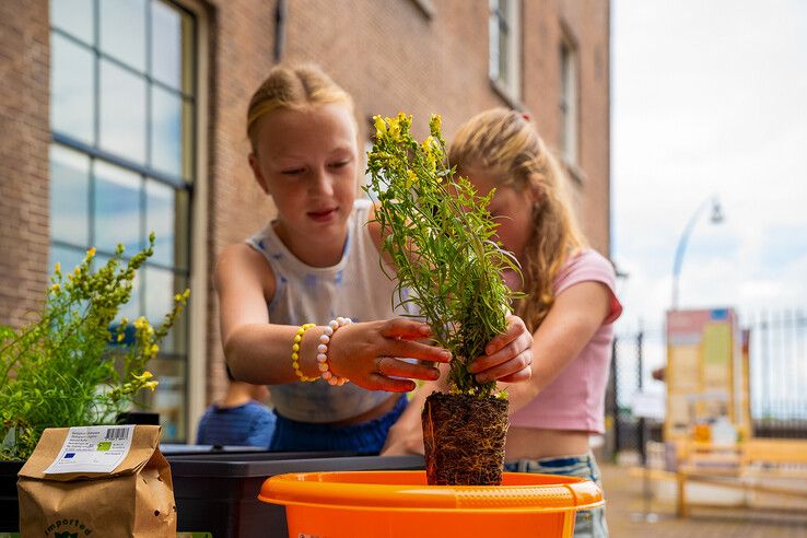 In beeld: Kinderen maken bibliotheekplein Kampen groener met hulp van de Groene Loper