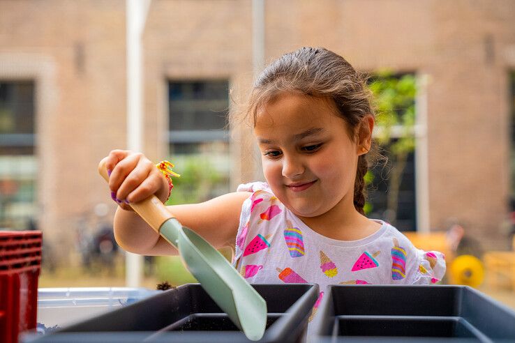 In beeld: Kinderen maken bibliotheekplein Kampen groener met hulp van de Groene Loper