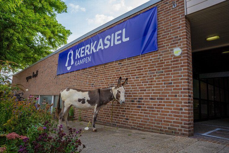 In beeld: Met ezel en kar naar kerkasiel in Kampen voor familie Babayants