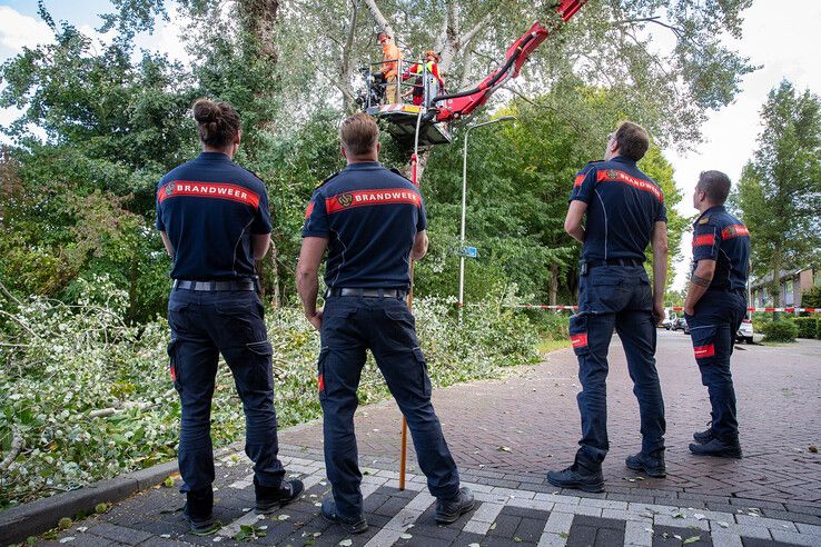 In beeld: Fietser geraakt door vallende boomtak in Zwolle