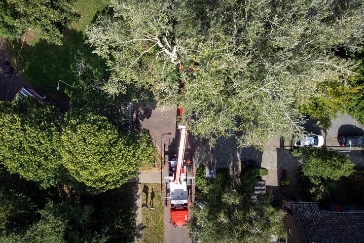 In beeld: Fietser geraakt door vallende boomtak in Zwolle