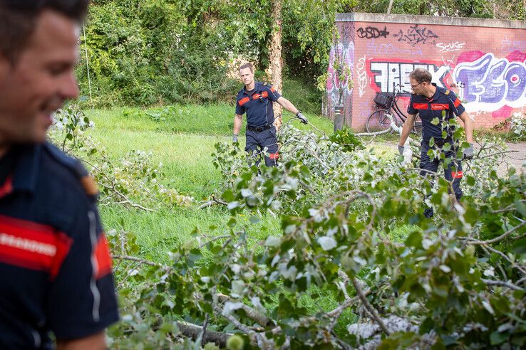 In beeld: Fietser geraakt door vallende boomtak in Zwolle