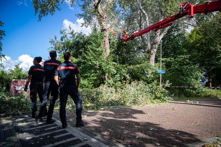 In beeld: Fietser geraakt door vallende boomtak in Zwolle