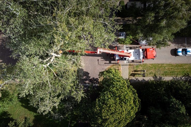 In beeld: Fietser geraakt door vallende boomtak in Zwolle