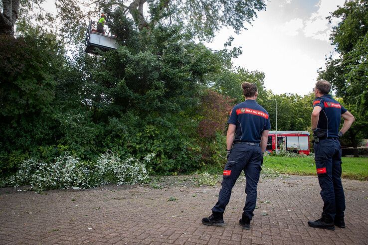 In beeld: Fietser geraakt door vallende boomtak in Zwolle