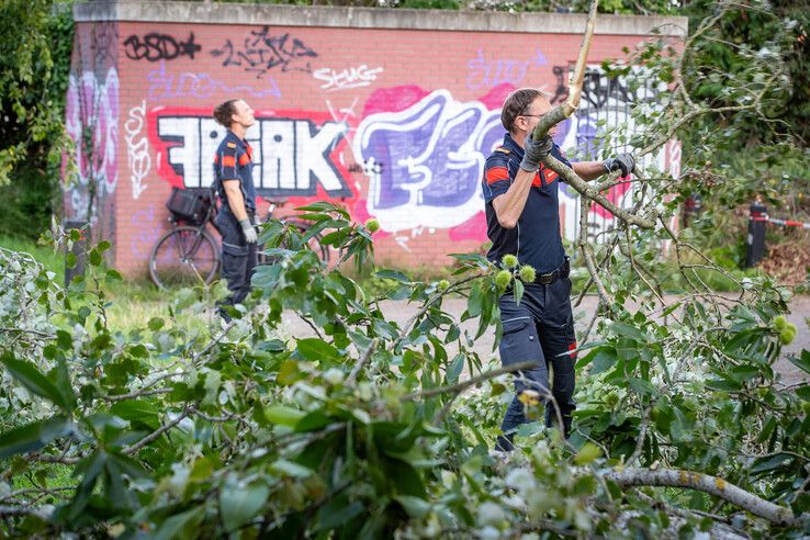 In beeld: Fietser geraakt door vallende boomtak in Zwolle