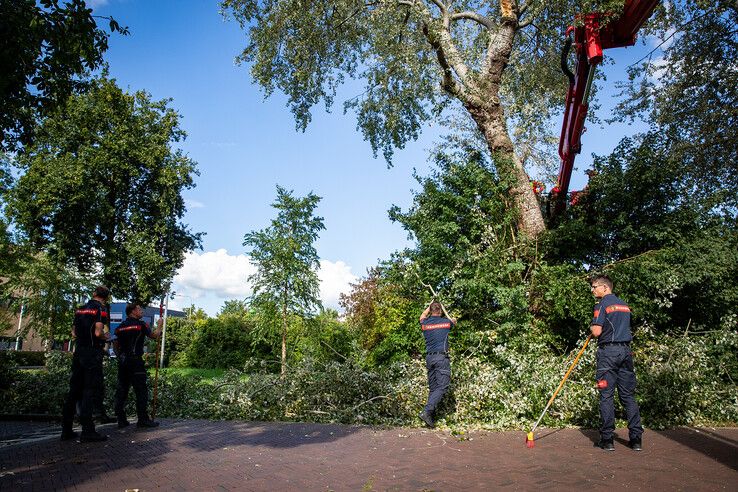 In beeld: Fietser geraakt door vallende boomtak in Zwolle